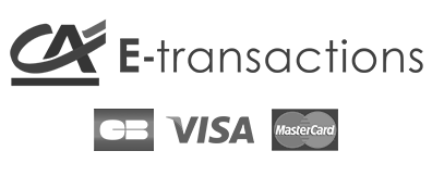 paiement sécurisé e-transaction